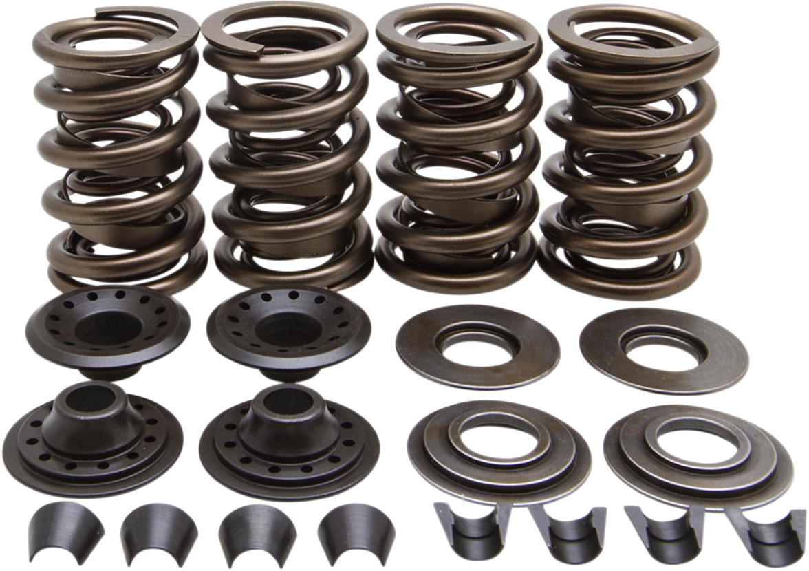 KIBBLEWHITE Racing Valve Spring Kit