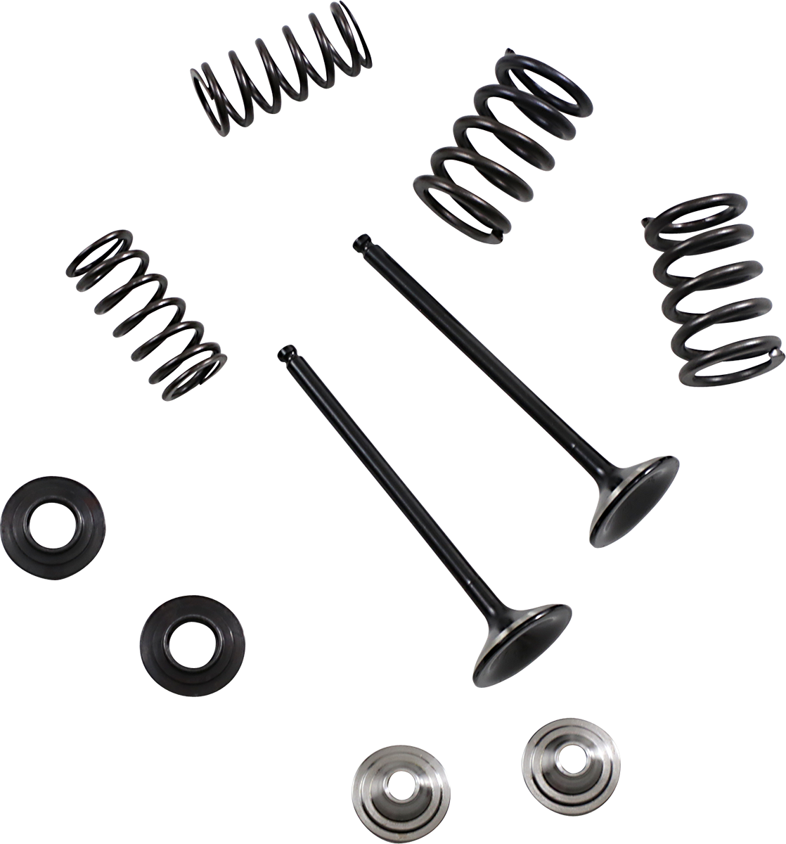 Moose Racing Exhaust Valve and Spring Kit