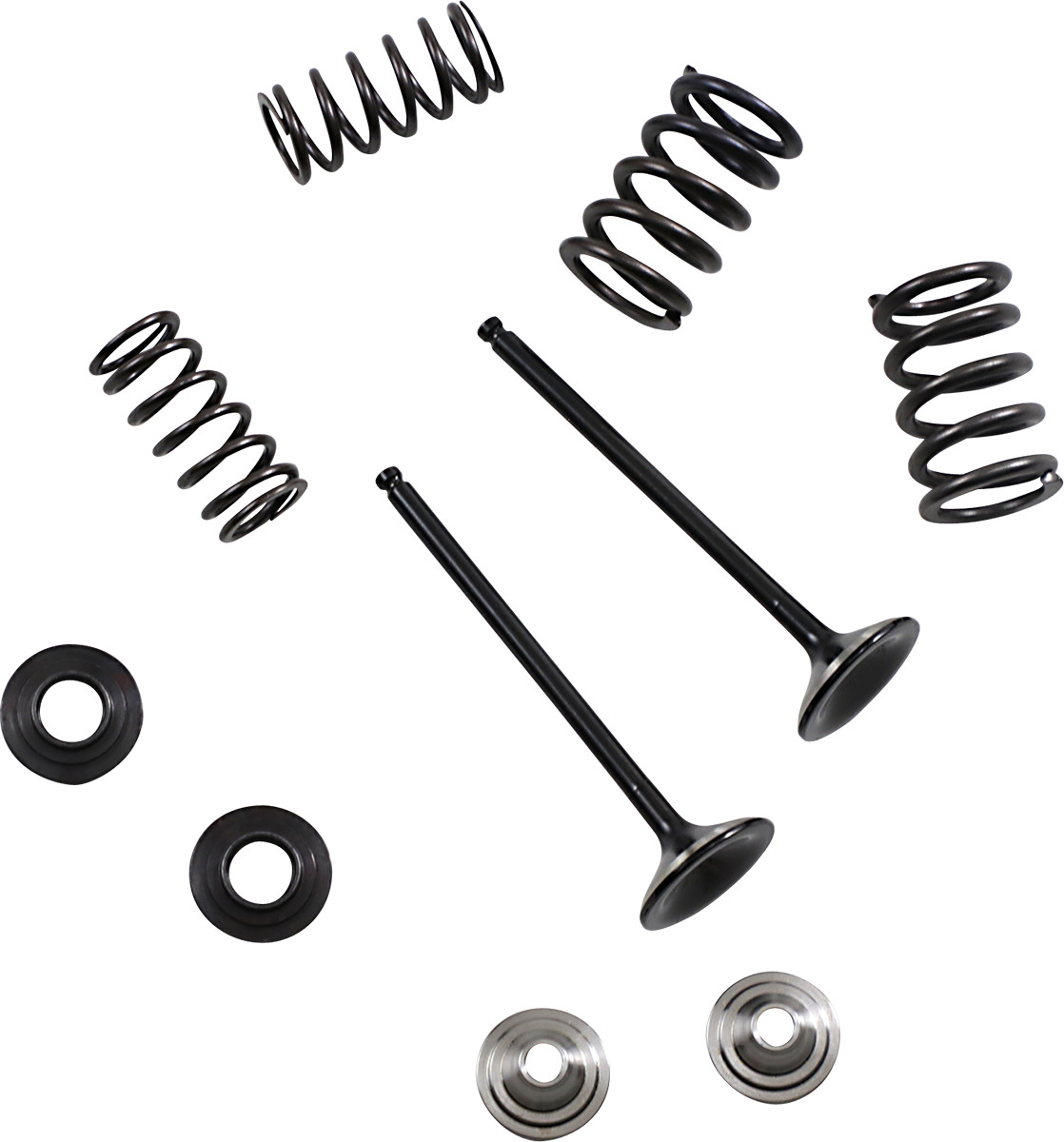 Moose Racing Exhaust Valve and Spring Kit