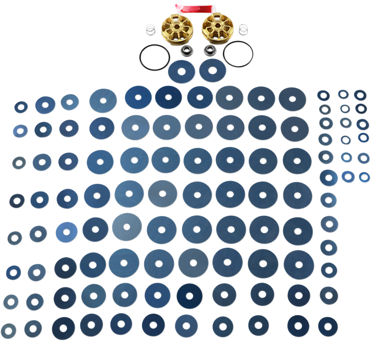 Gold Valve Fork Kit