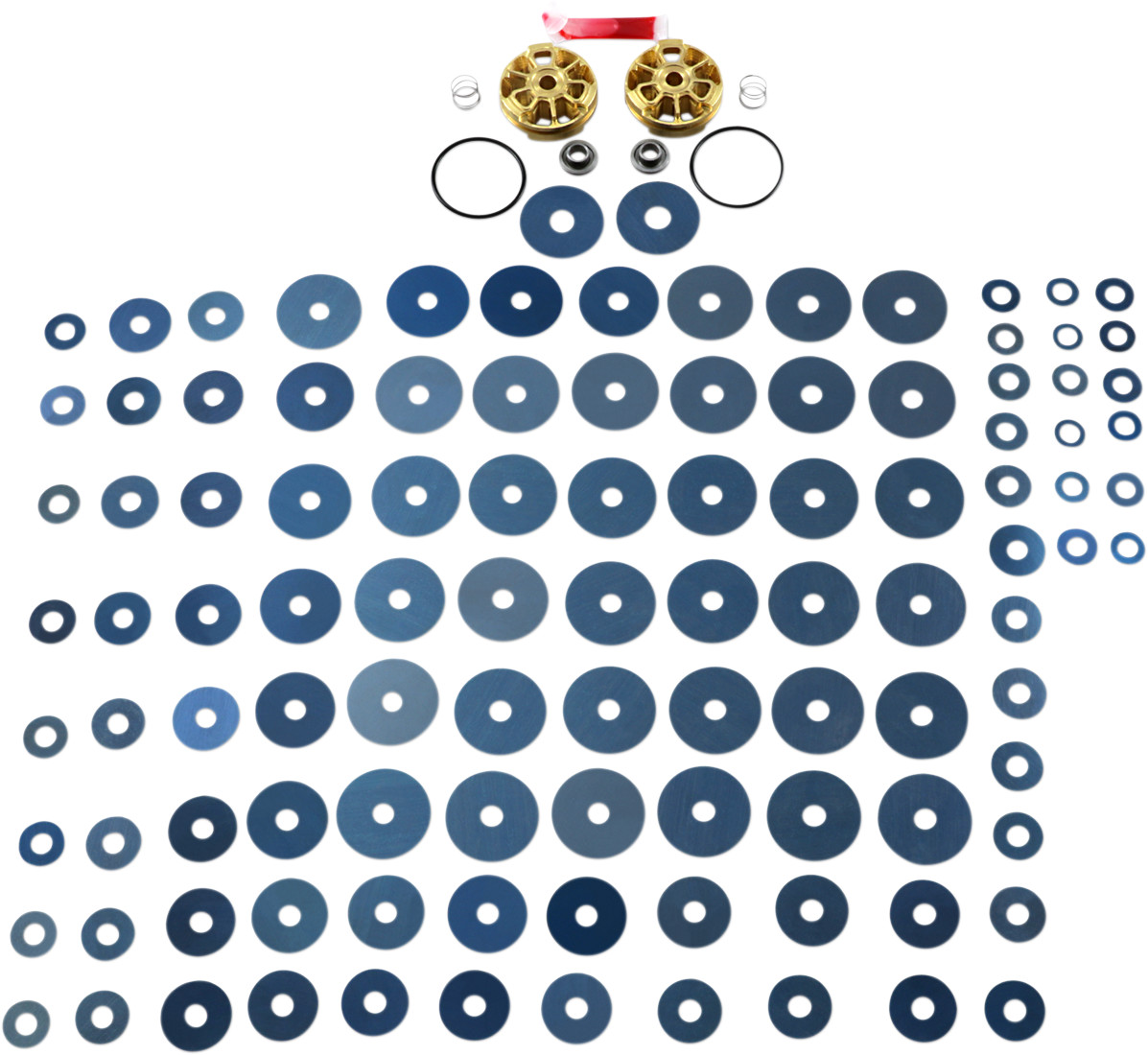 RACE TECH Gold Valve Fork Kit