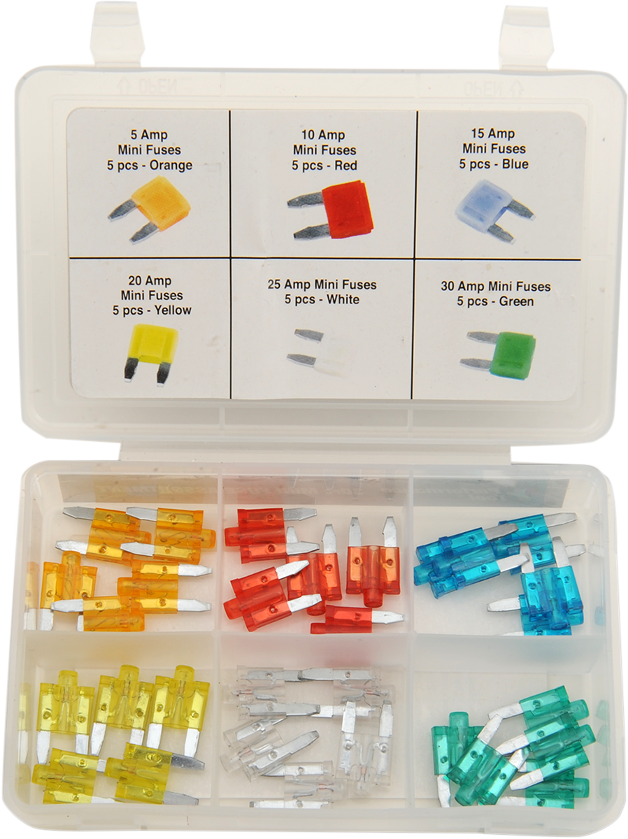 PERFORMANCE TOOL Mini Fuse Assortment