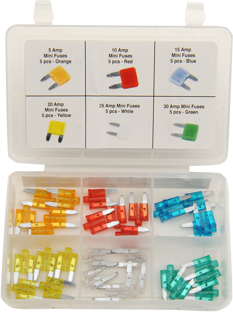 PERFORMANCE TOOL Mini Fuse Assortment
