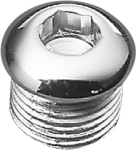 Drag Specialties Timing and Oil Tank Drain Plug