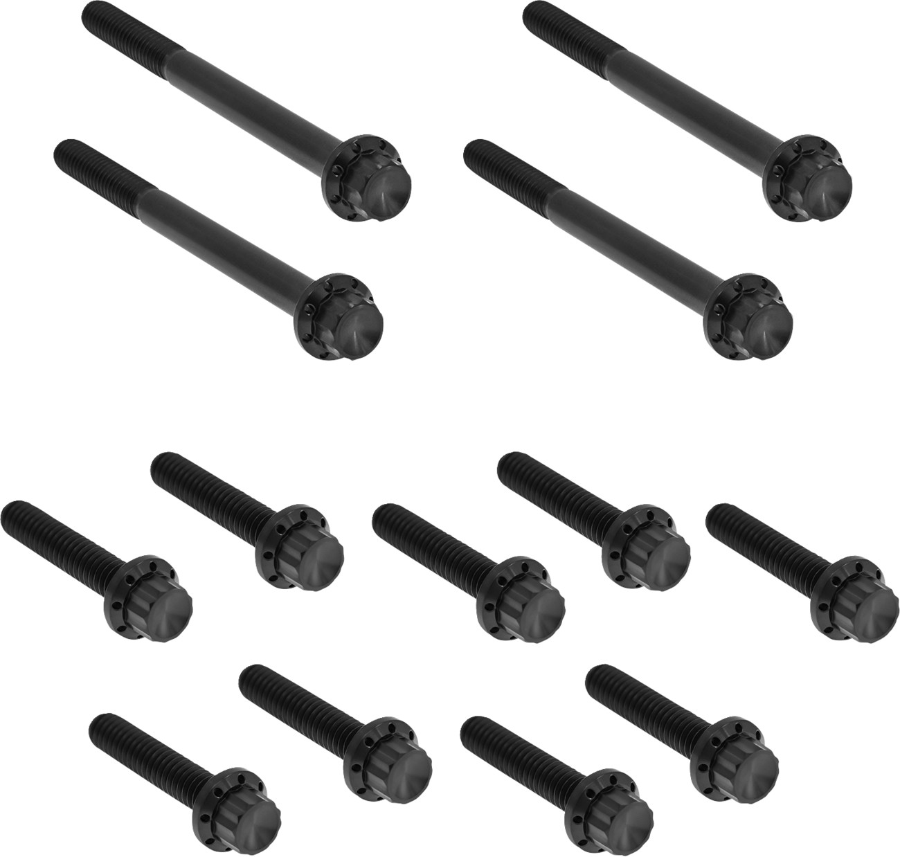 Arlen Ness 12-Point Titanium Primary Bolt Kit For Harley Softail 2018-2026