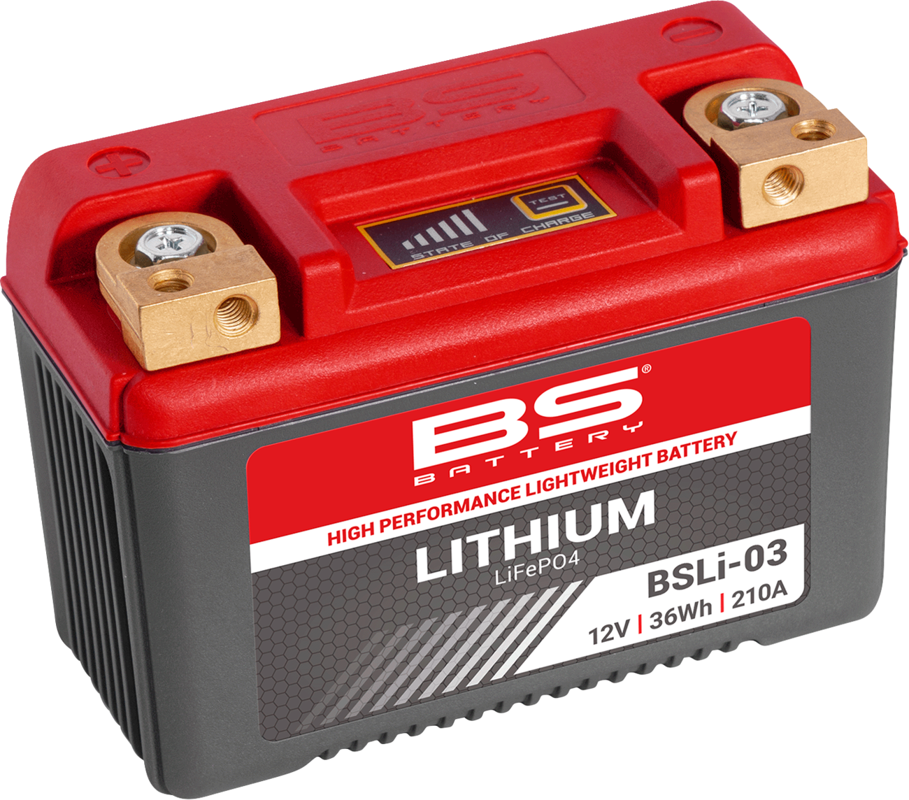 BS BATTERY Lithium LiFePO4 Battery