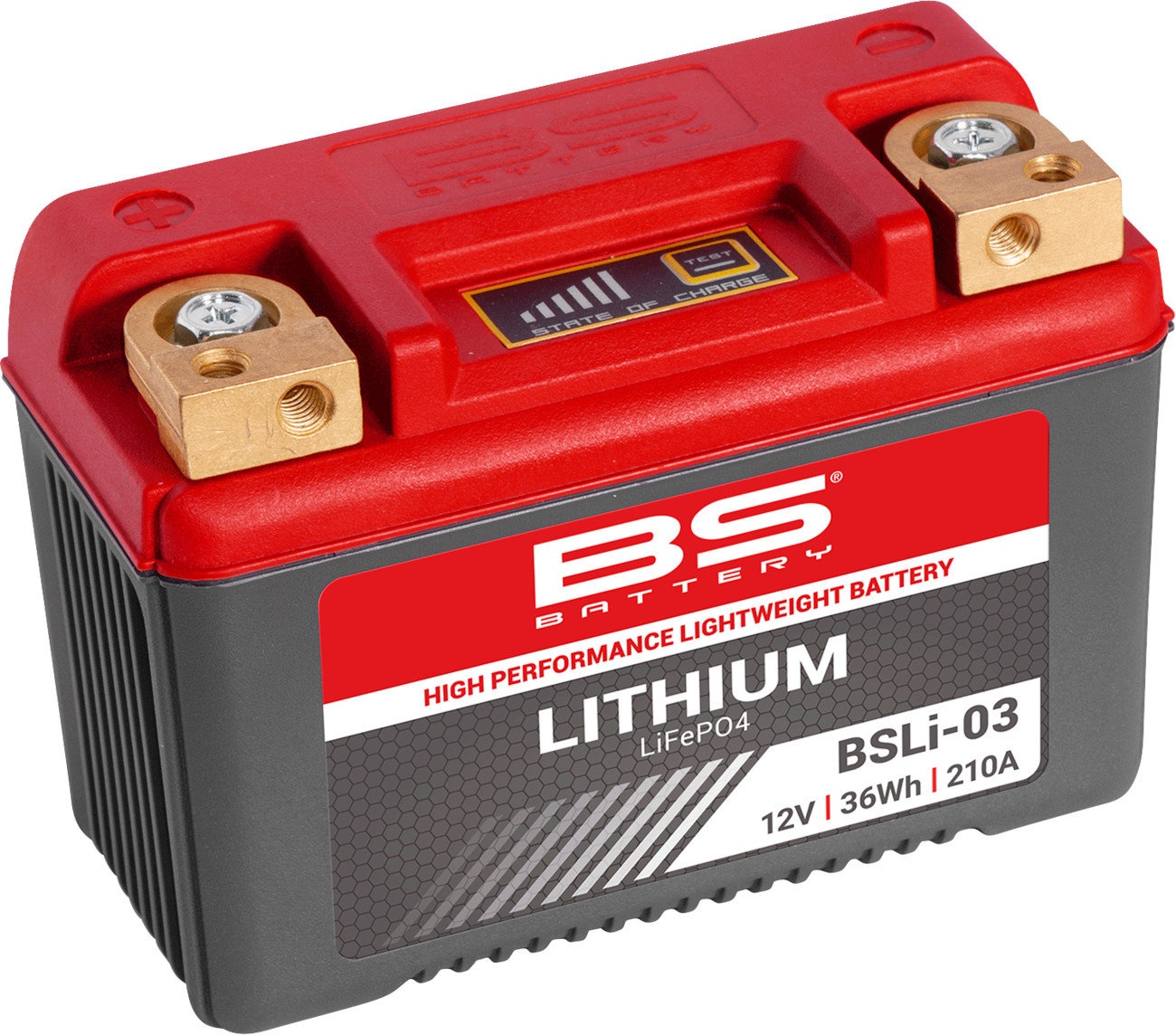 BS BATTERY Lithium LiFePO4 Battery