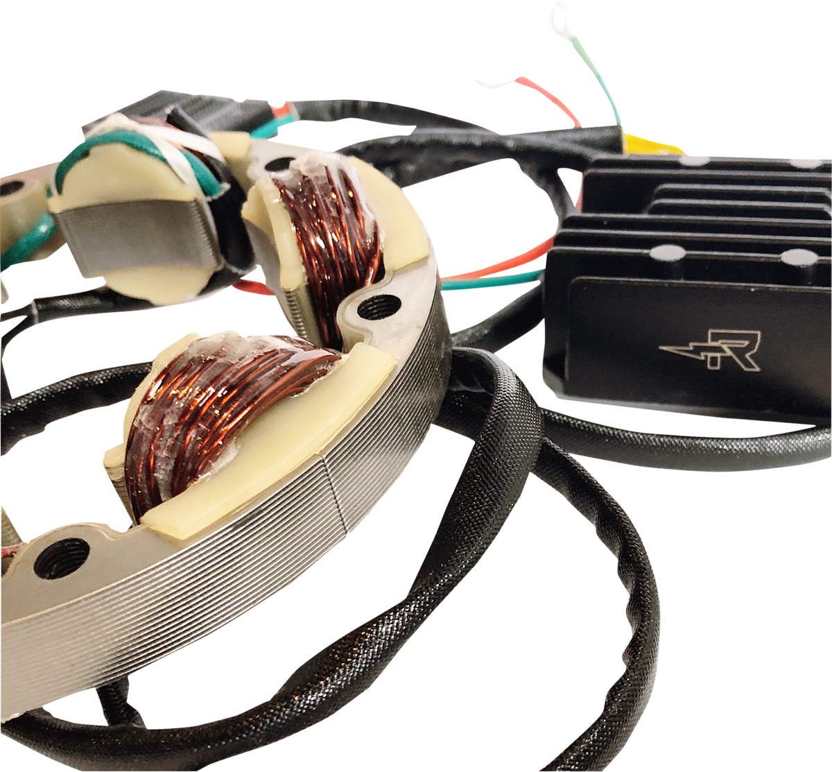RICK'S MOTORSPORT ELECTRIC Lithium-Ion Charging Kit