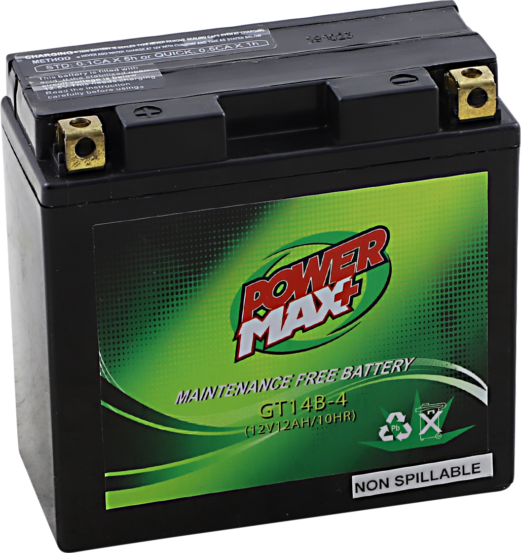 Maintenance-Free Battery