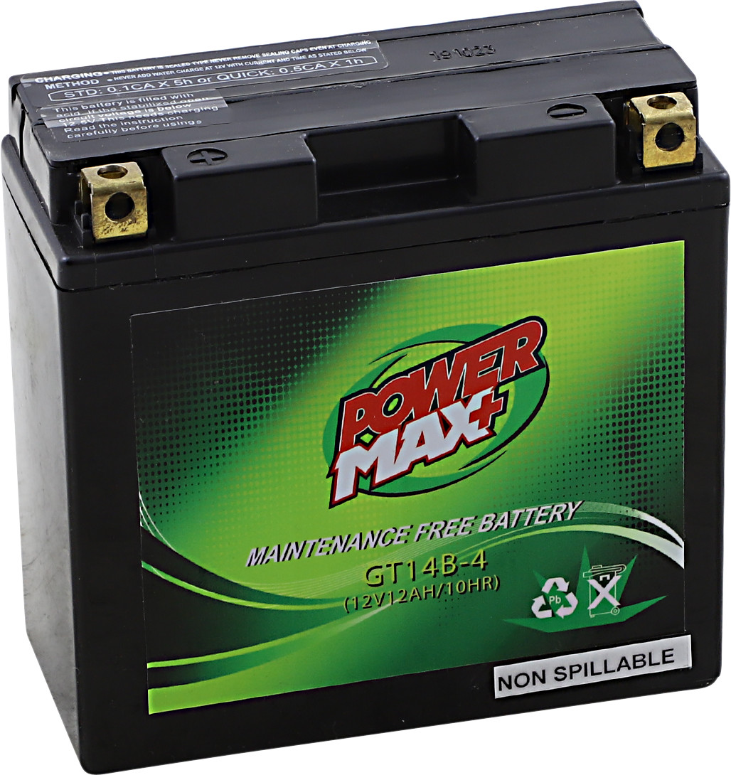 POWER MAX Maintenance-Free Battery