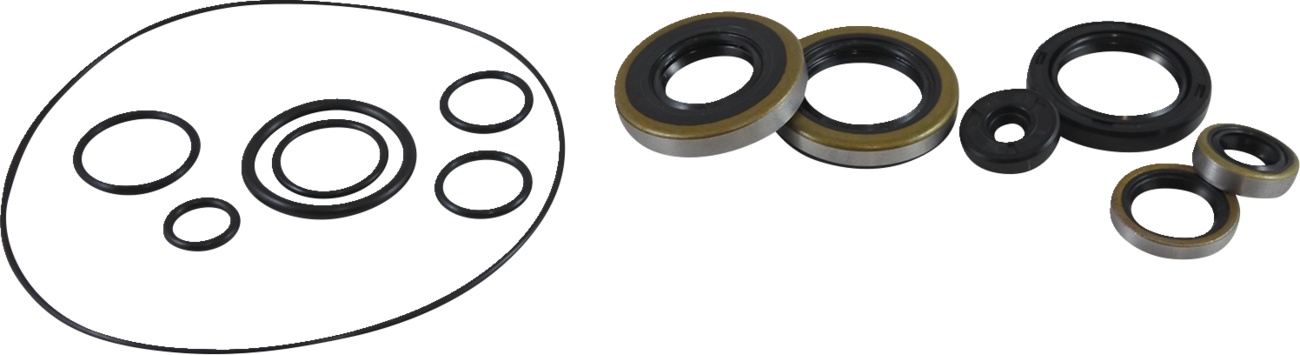 VINTCO Oil Seal Kit