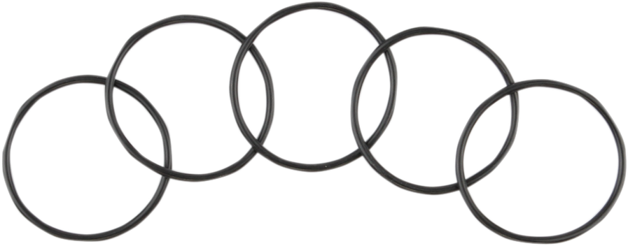 Starter O-Ring