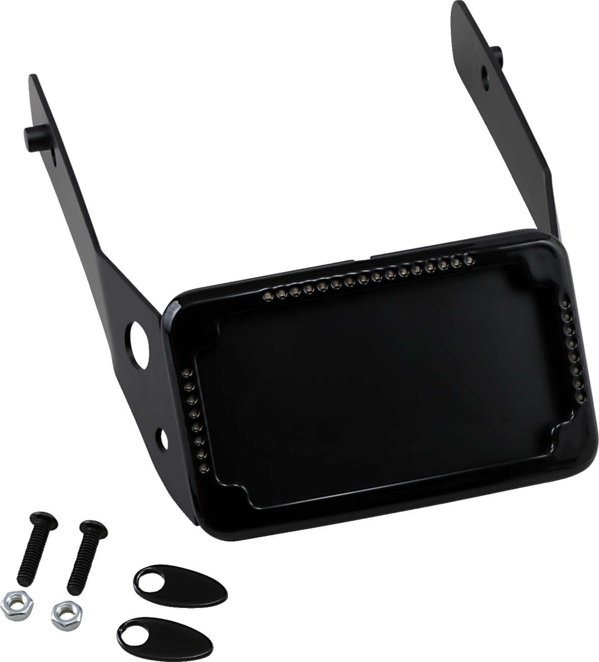 Curved License Plate Frame and Mount with License Plate Light