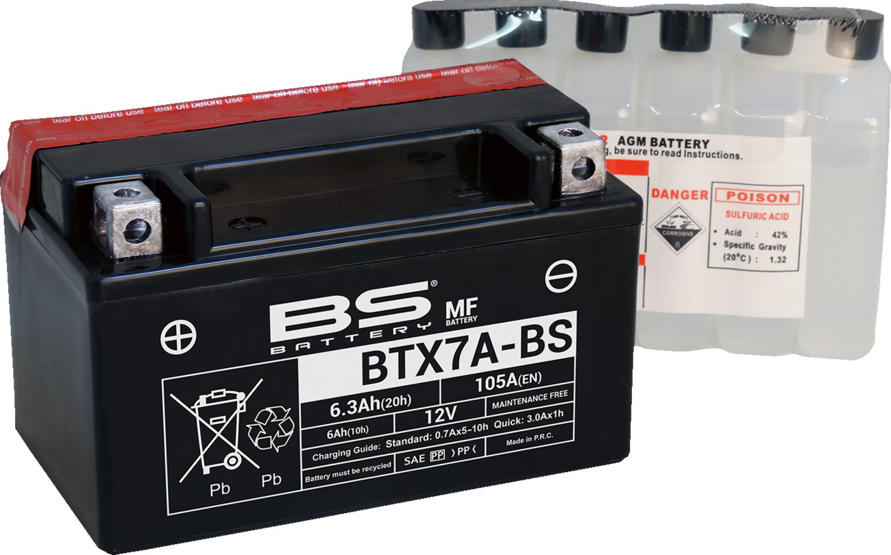 BS BATTERY Maintenance-Free Battery