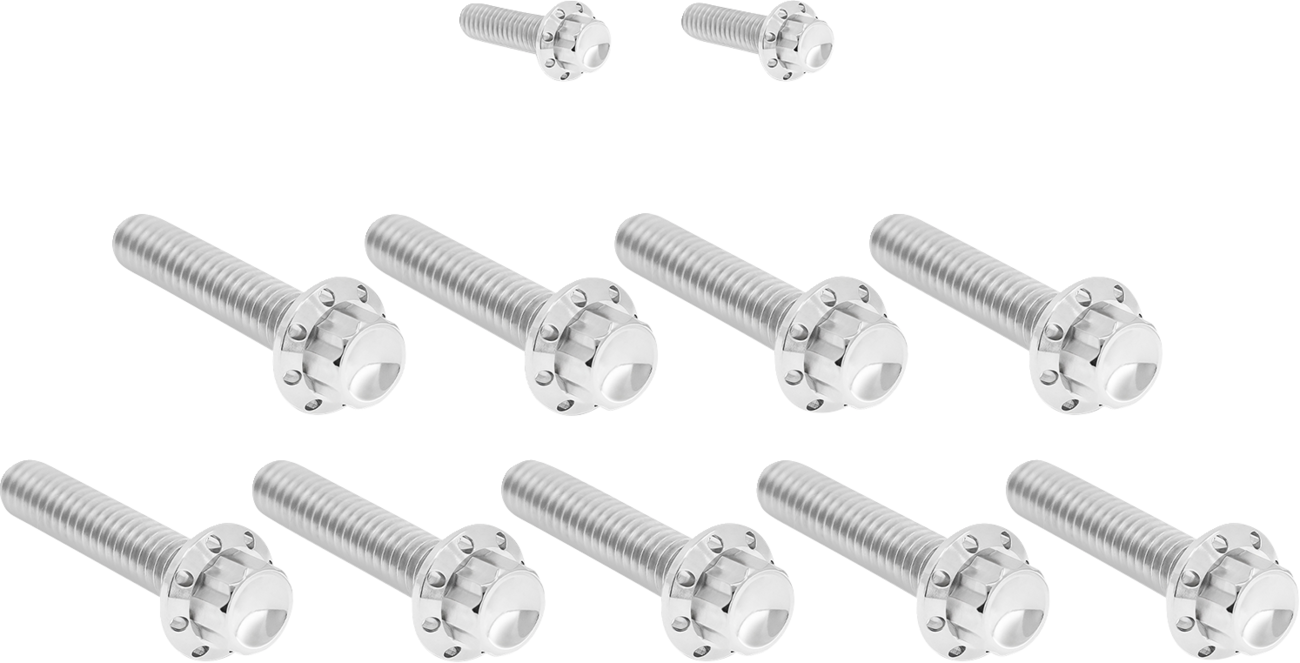 ARLEN NESS Cam Cover/Point Cover Titanium 12-Point Bolt Kit