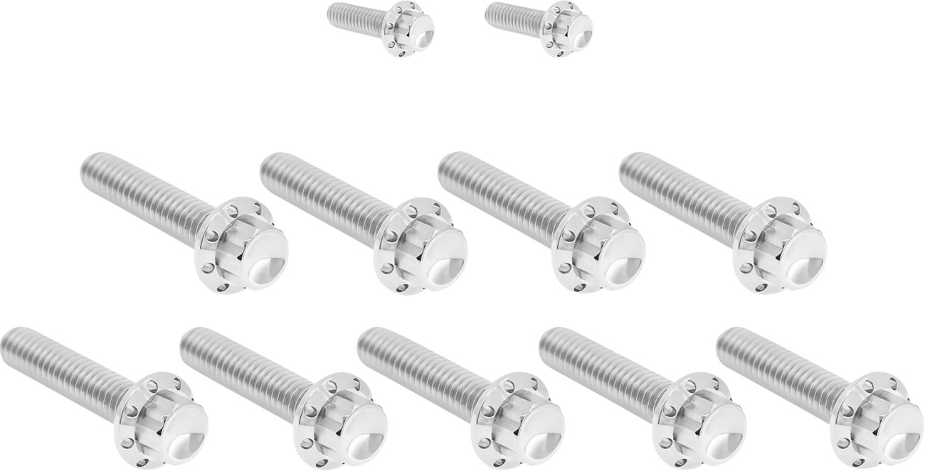 Arlen Ness 12-Point Titanium Cam & Point Cover Bolt Kit For Harley 2017-2025