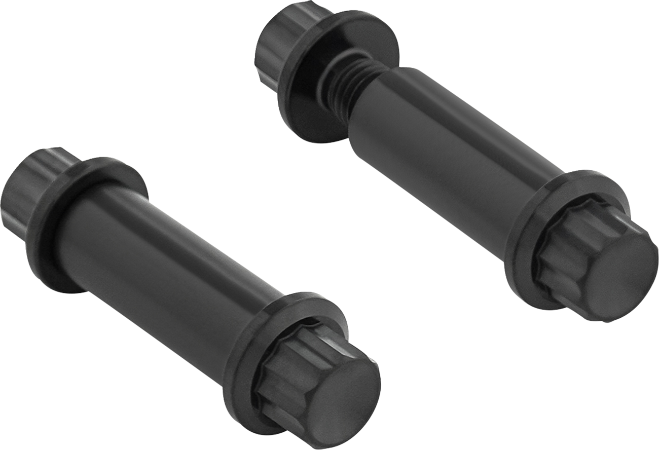 ARLEN NESS Foot Peg Titanium 12-Point Bolt Kit