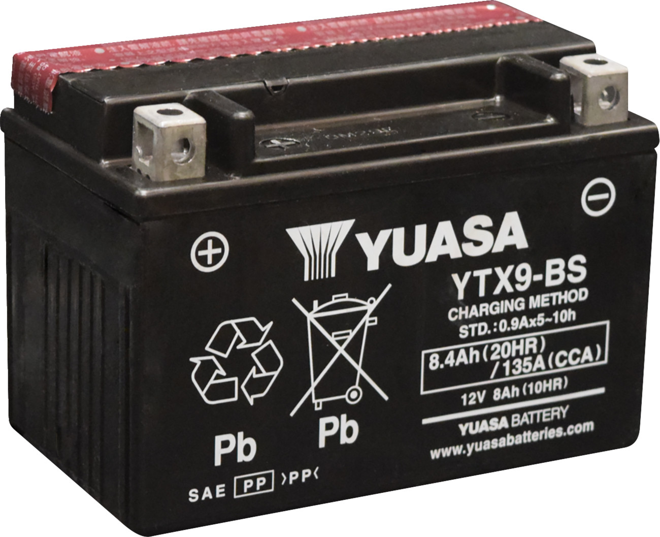 Yuasa Maintenance-Free Battery