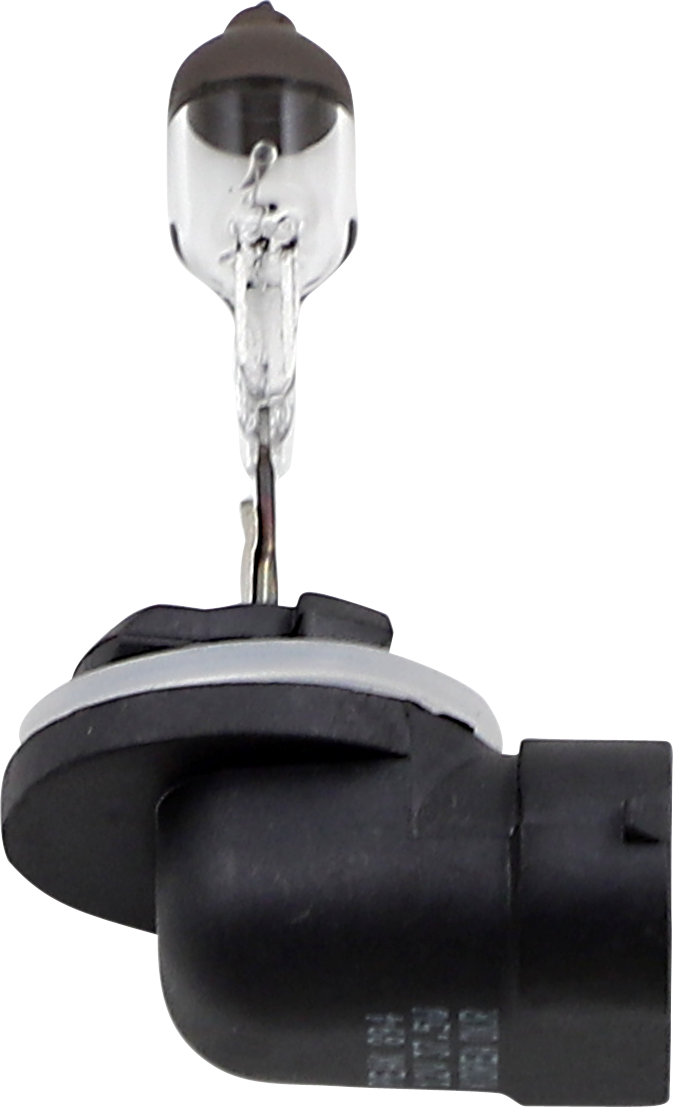 Halogen Bulb
