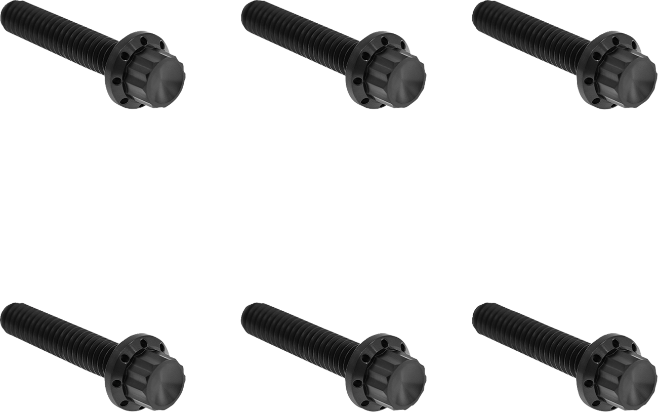 ARLEN NESS Transmission Side Cover Titanium 12-Point Bolt Kit