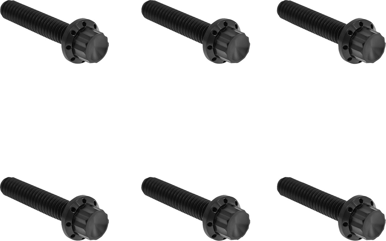 ARLEN NESS Transmission Side Cover Titanium 12-Point Bolt Kit