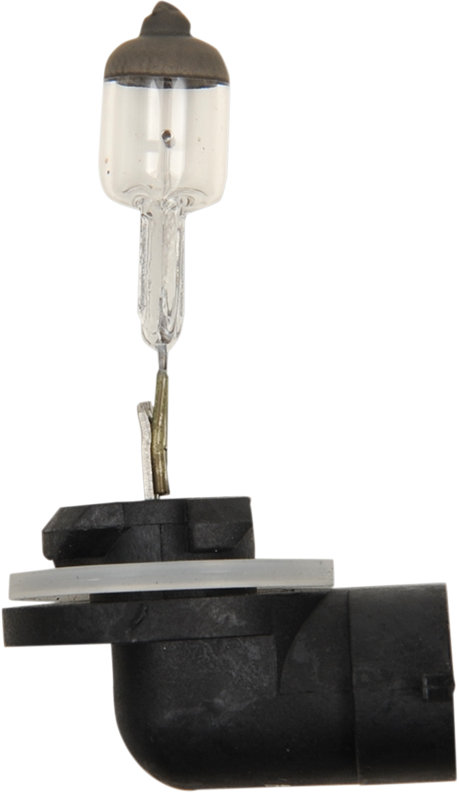 Halogen Bulb