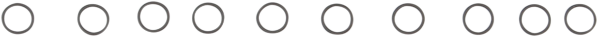 Shifter O-Ring