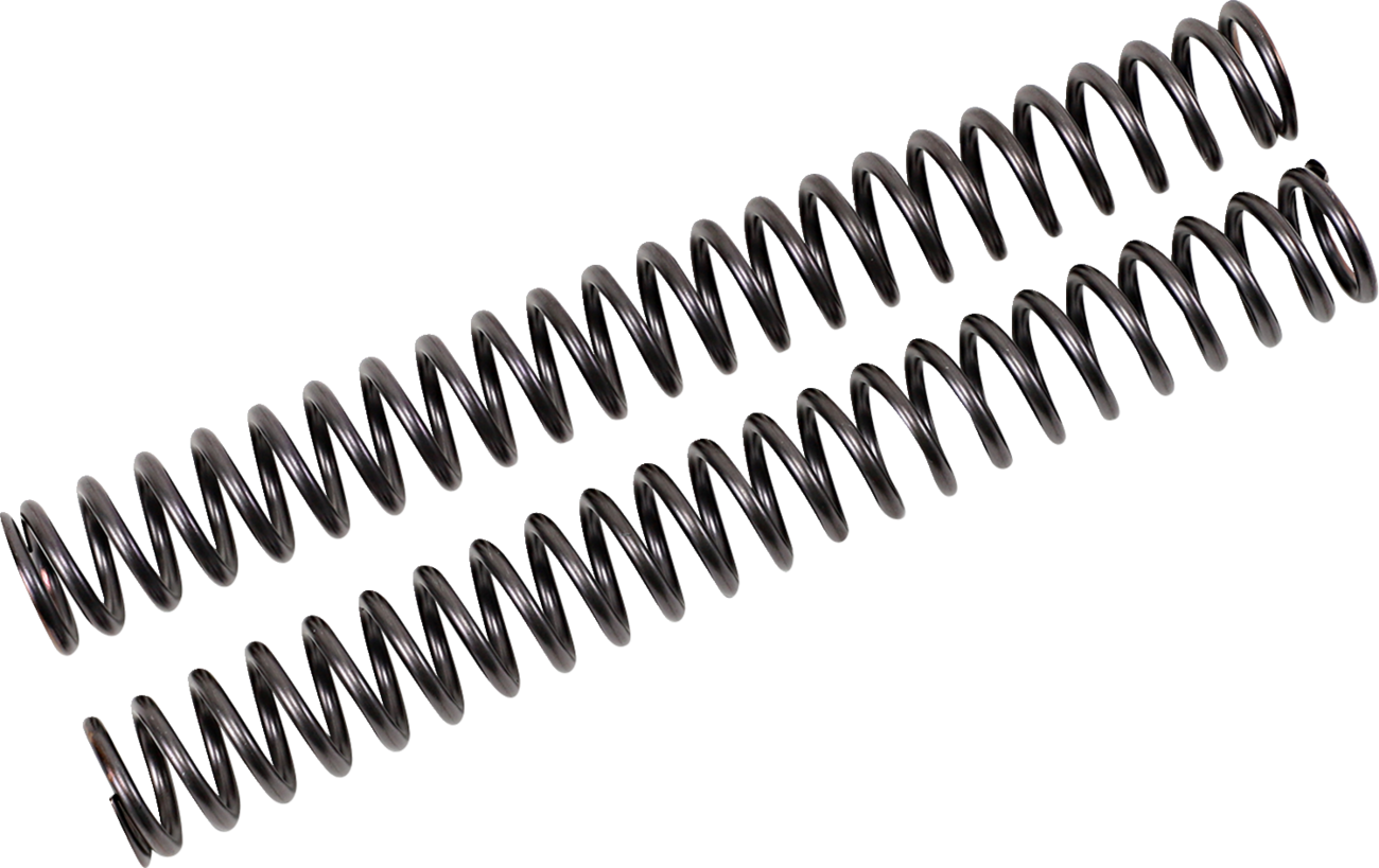 Fork Springs for FKS Cartridge Kit