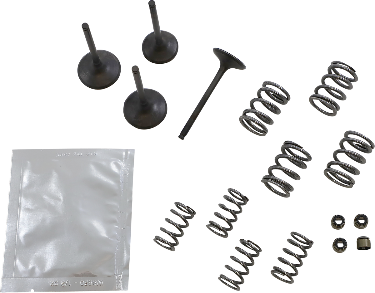 WISECO Valve Kit