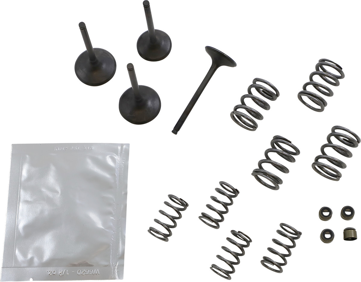 WISECO Valve Kit