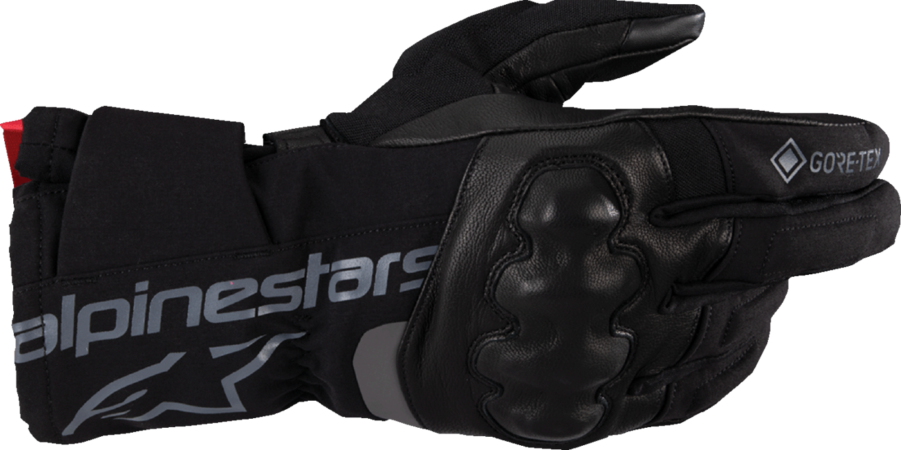 Alpinestars WT-4 Gore-Tex Gloves