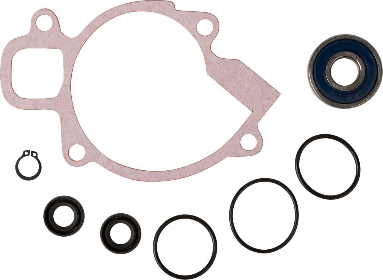 Water Pump Rebuild Kit