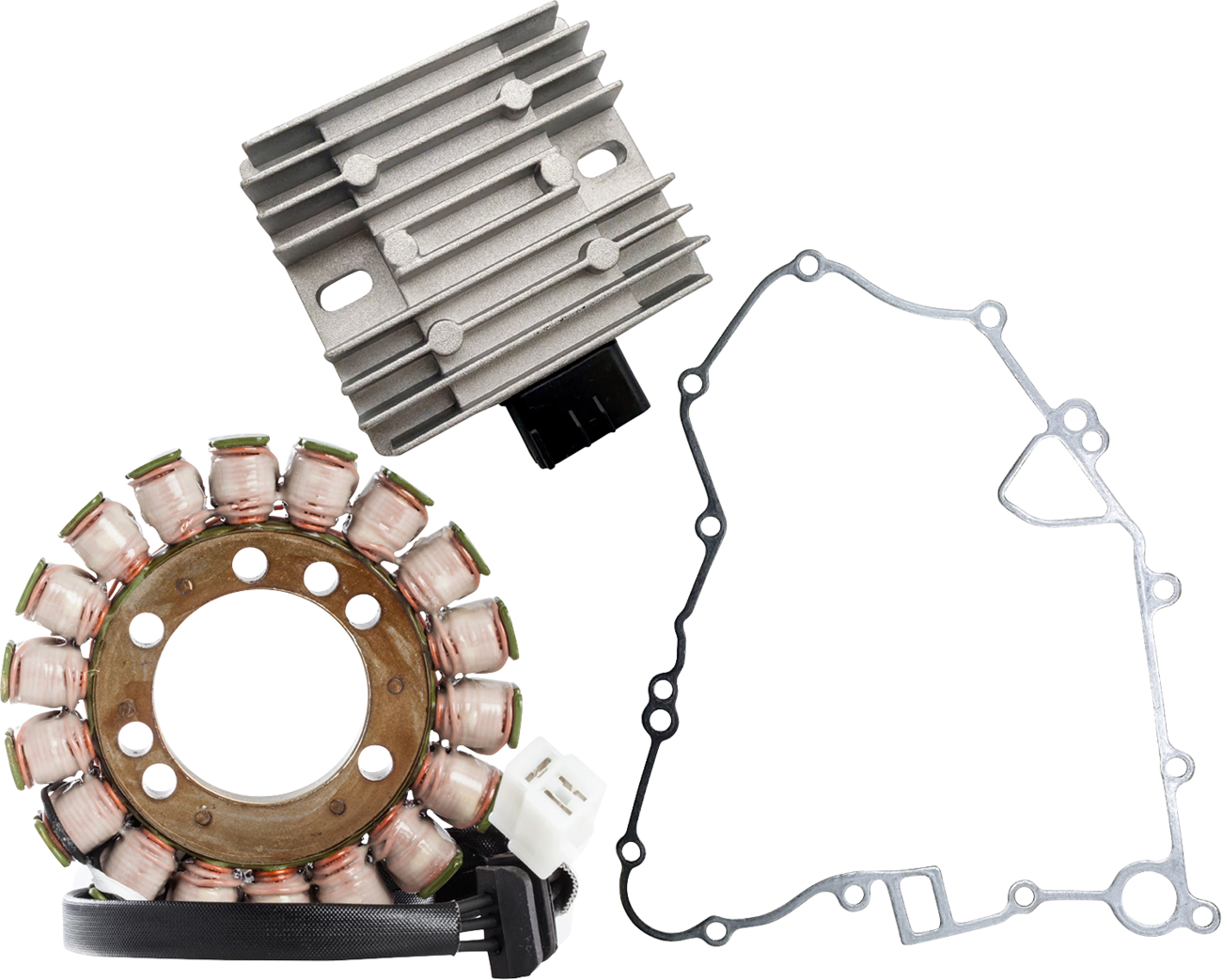 RICK'S MOTORSPORT ELECTRIC Charging Kit