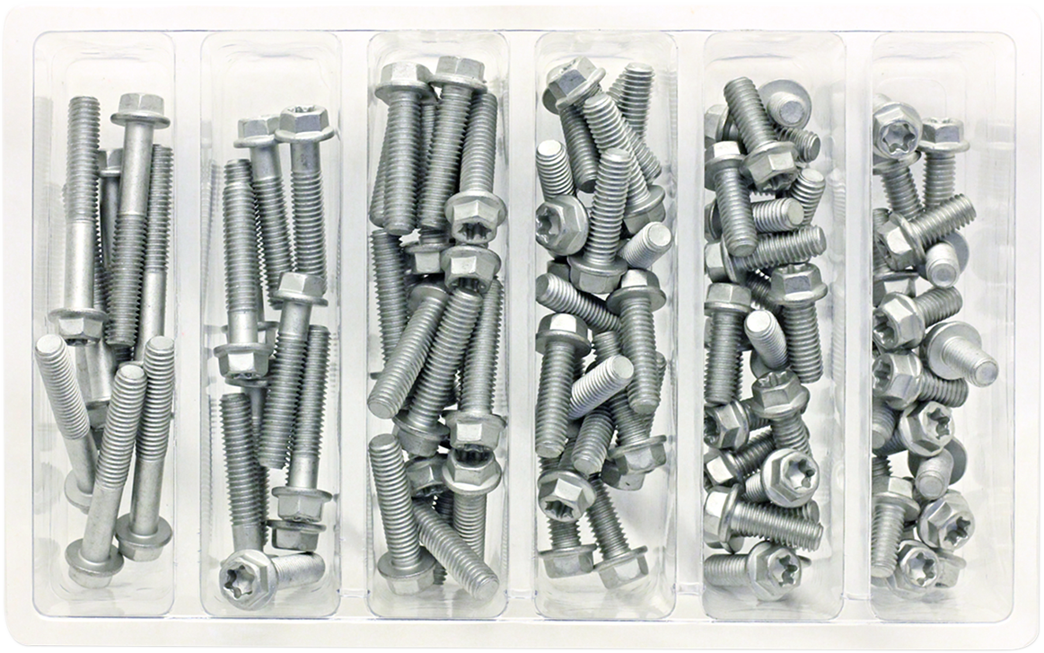 Bolt Hardware M6 Euro Torx Flange Bolt Assortment 100 Piece Kit