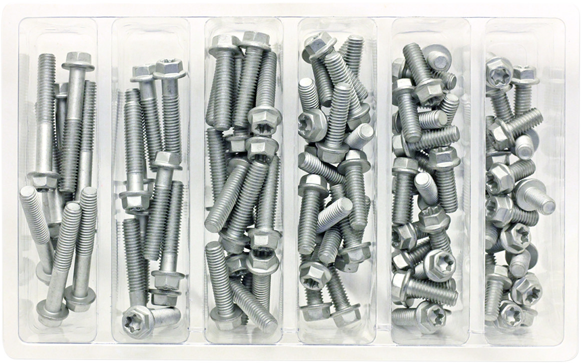Bolt Hardware M6 Euro Torx Flange Bolt Assortment 100 Piece Kit