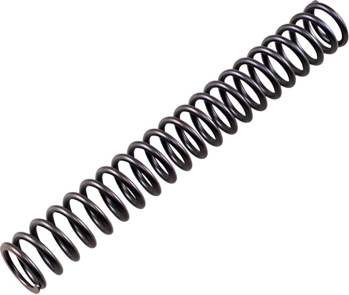 Front Fork Spring