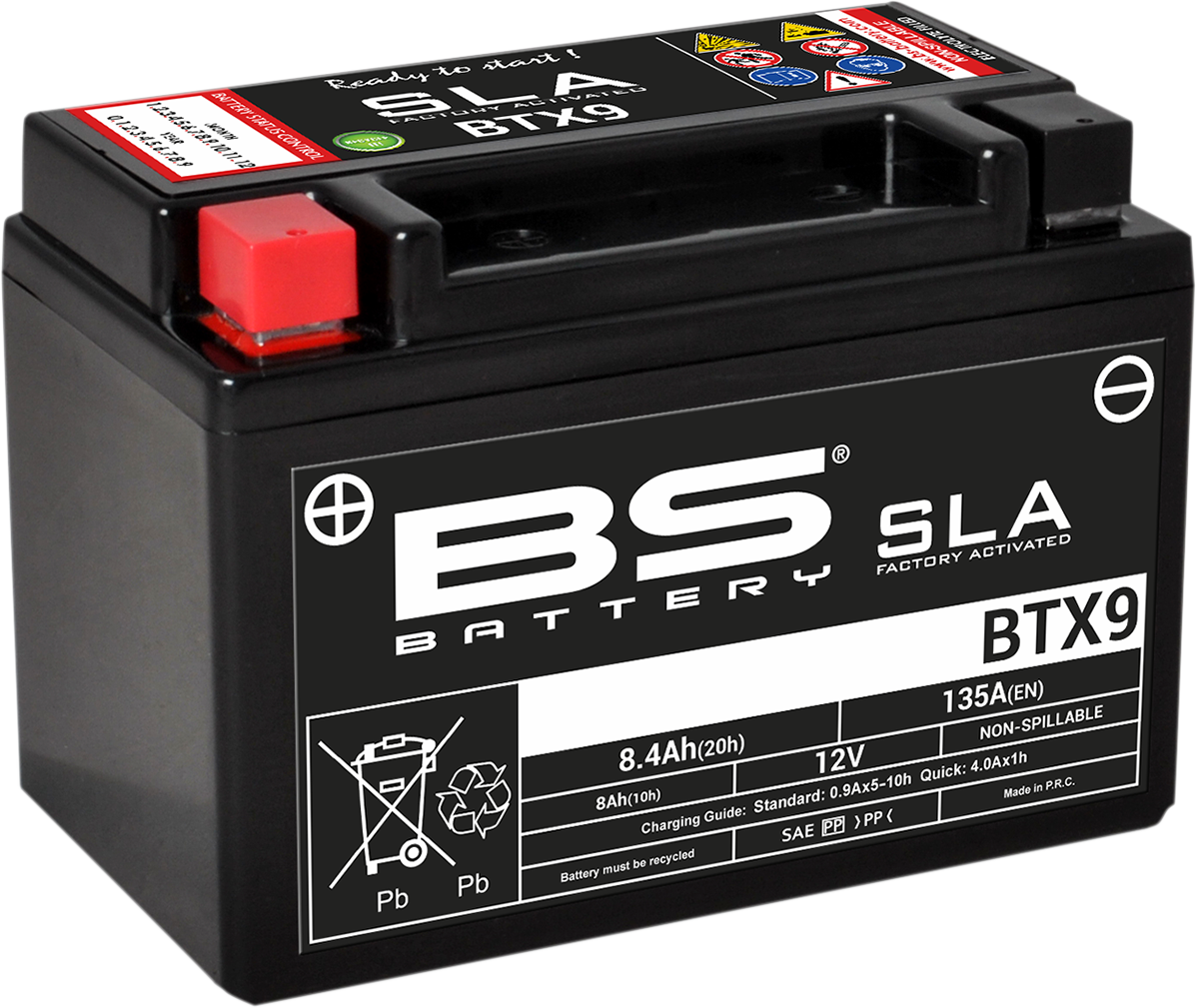 BS BATTERY SLA Factory- Activated AGM Maintenance-Free Battery