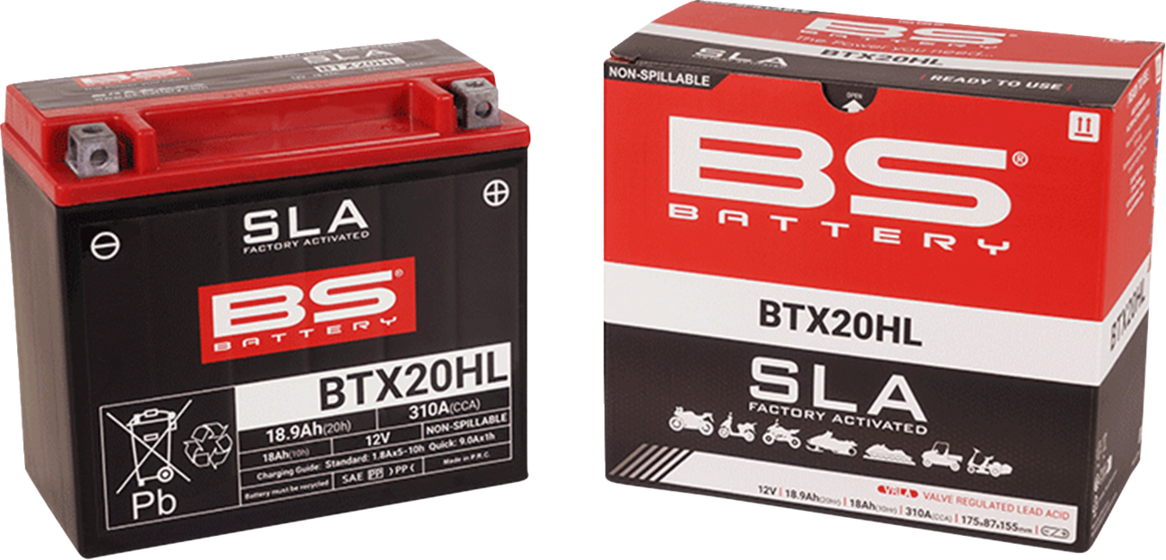 BS BATTERY SLA Factory- Activated AGM Maintenance-Free Battery