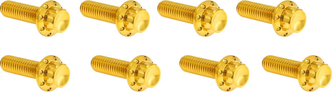 ARLEN NESS Lifter Block Titanium 12-Point Bolt Kit