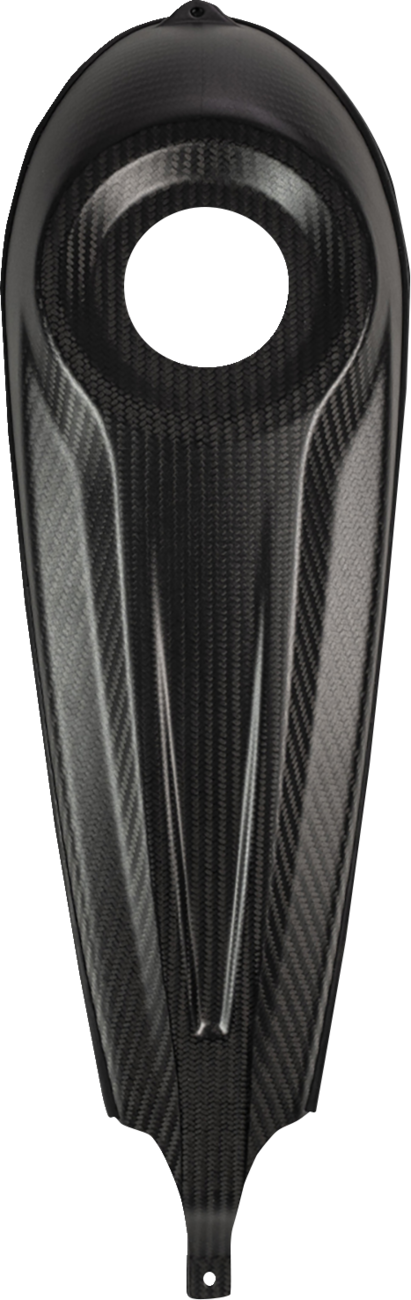 SADDLEMEN Carbon Fiber Dash Panel For Touring Models