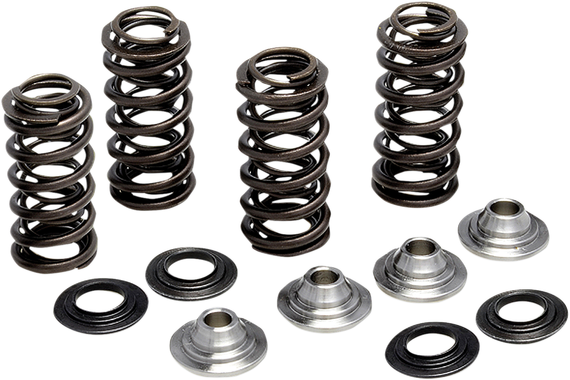 KIBBLEWHITE Valve Spring Kit