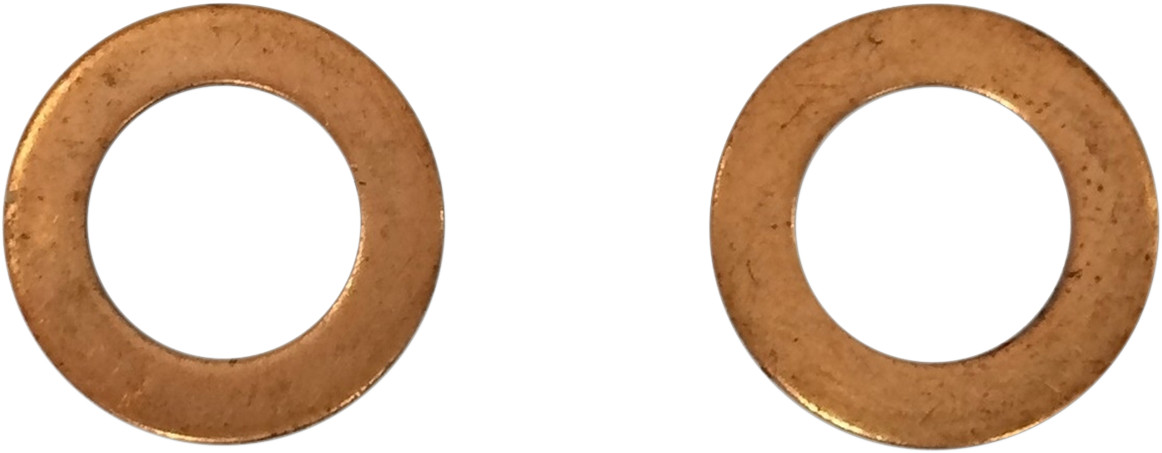 Drag Specialties Fork Damper Tube Mount Washers
