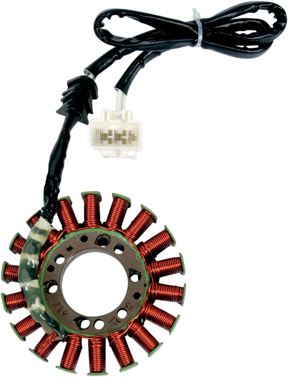 RICK'S MOTORSPORT ELECTRIC Stator