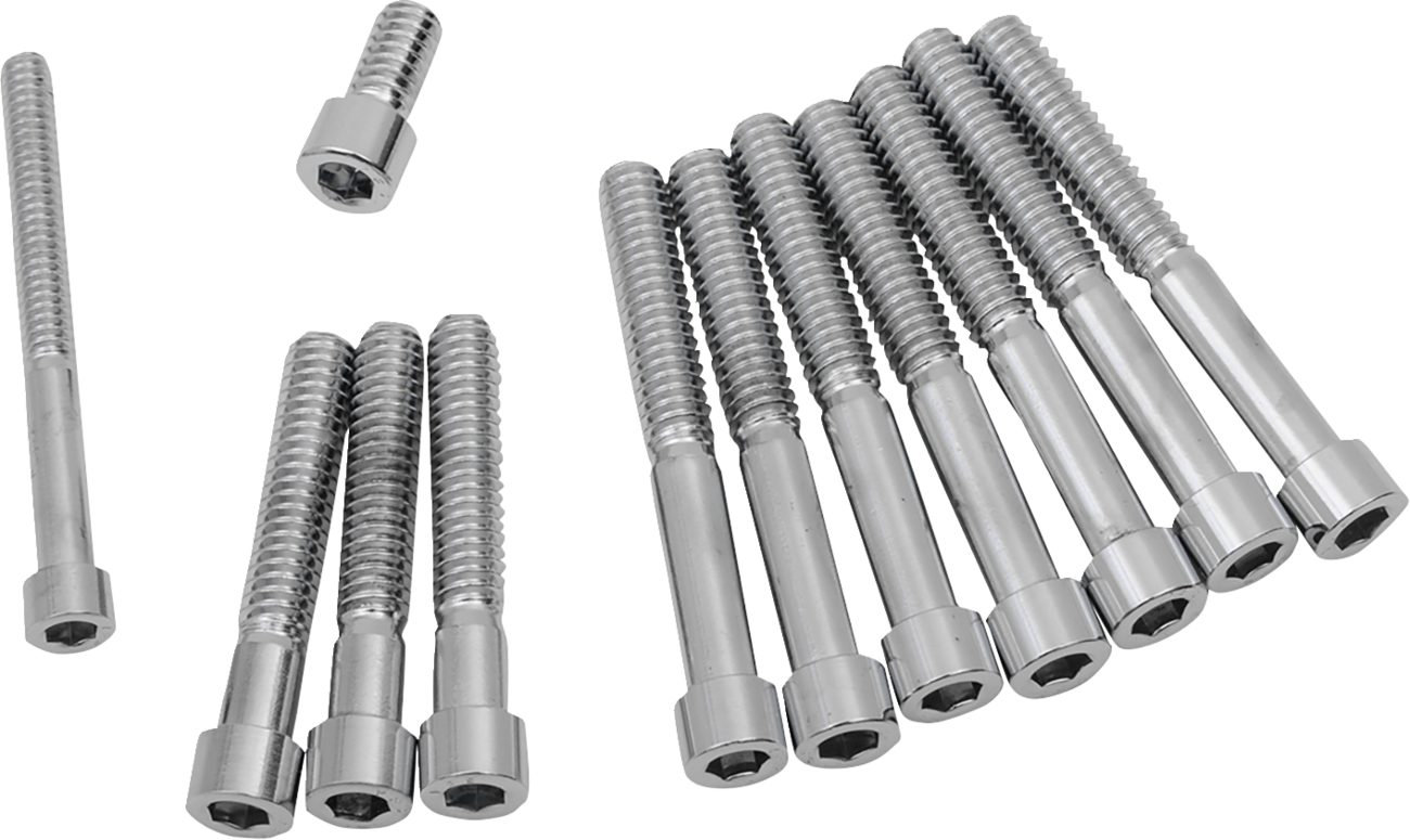 Drag Specialties Primary Cover Only Bolt Kit