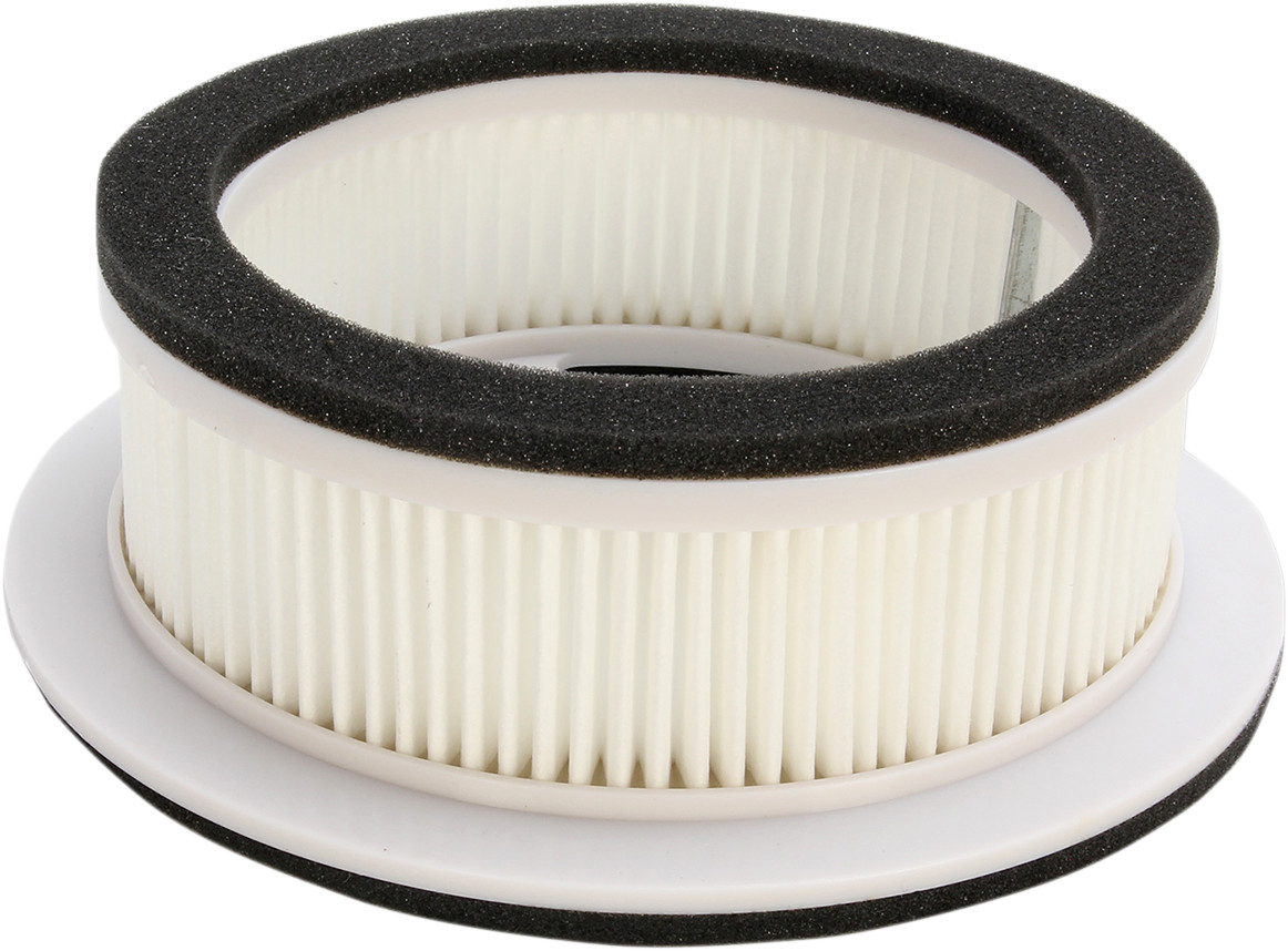 HIFLOFILTRO Scooter Air Filter