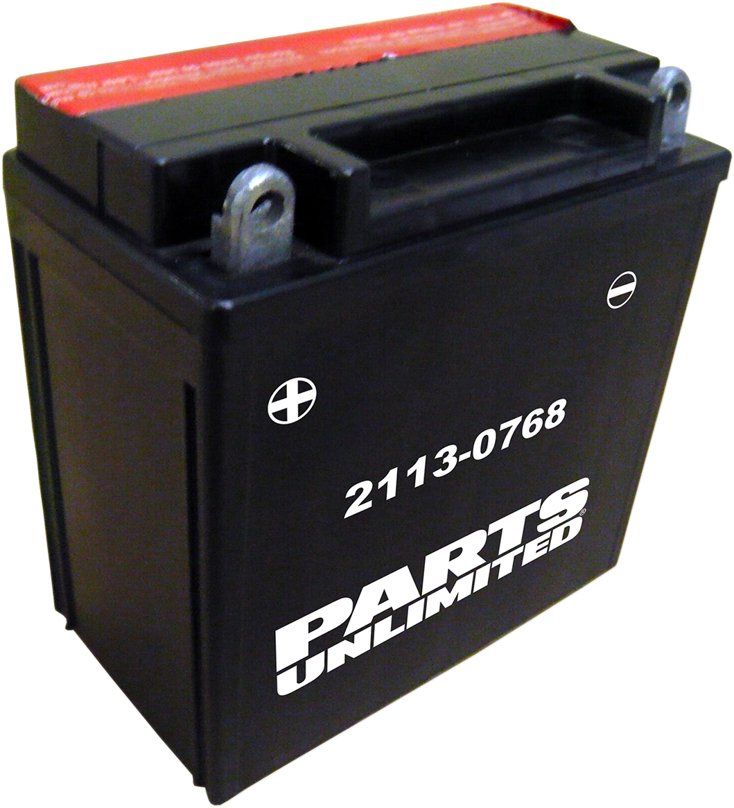 PARTS UNLIMITED AGM Maintenance-Free Battery