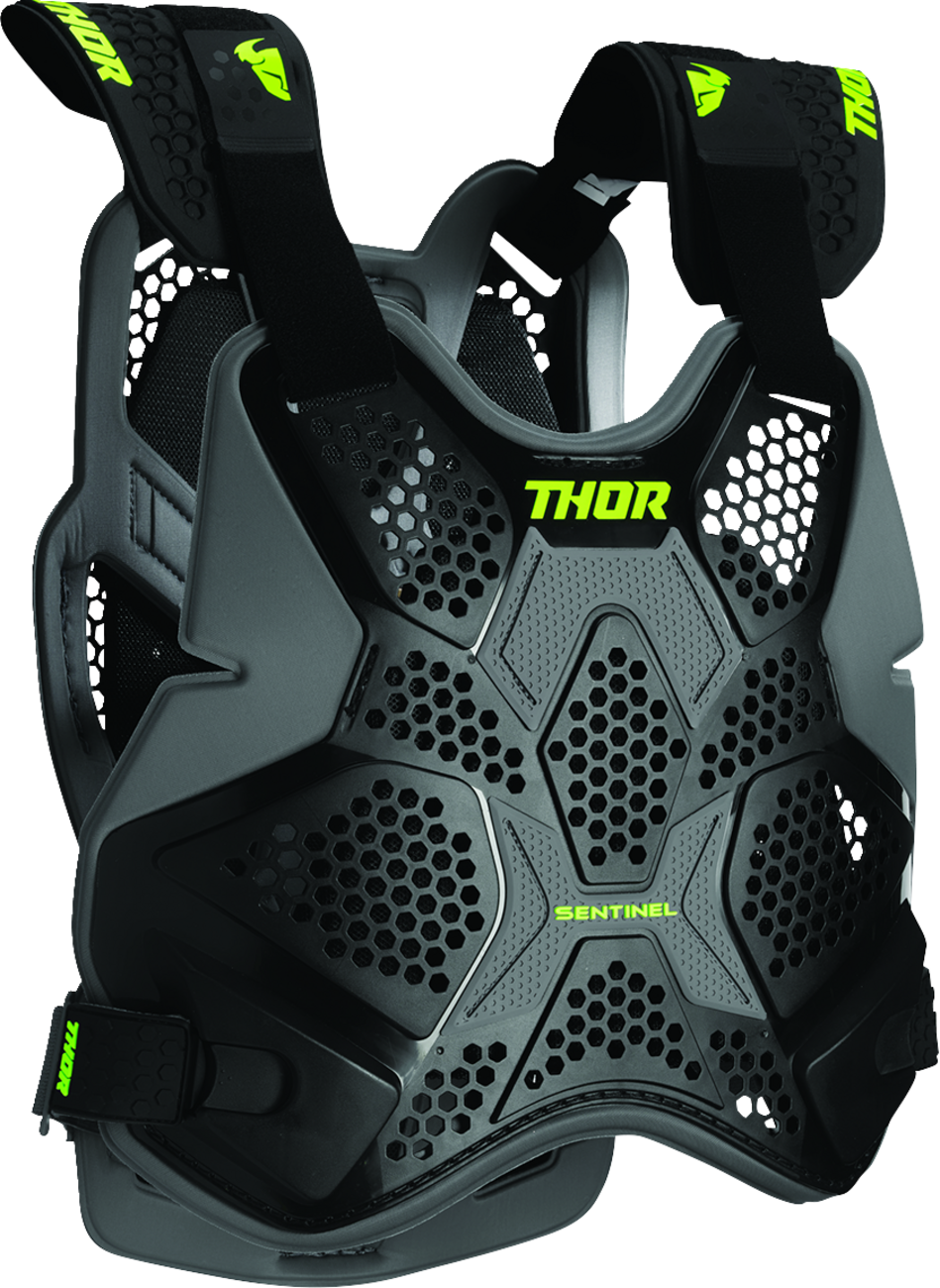 Thor Sentinel Pro Guard