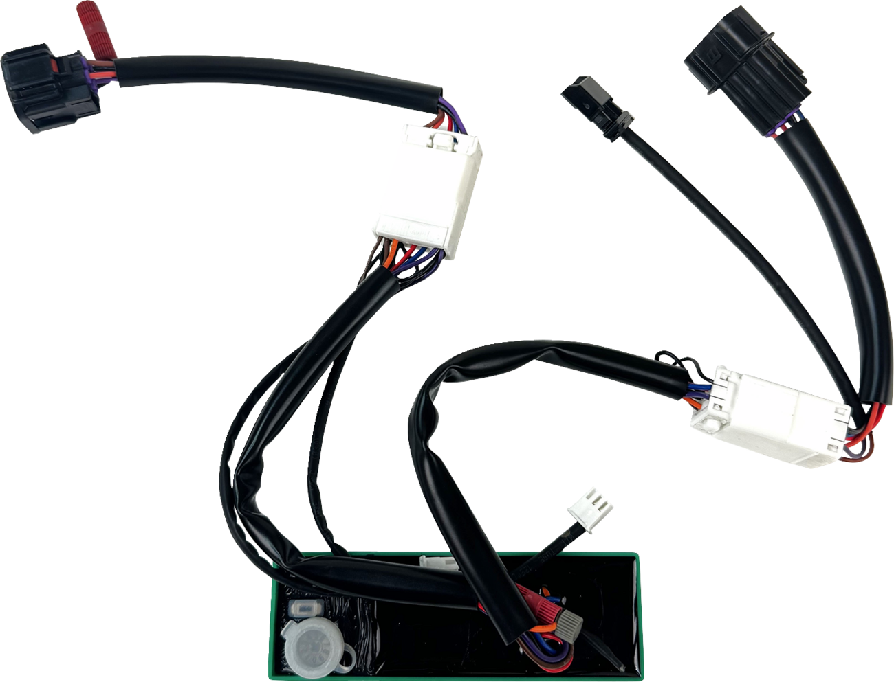 CUSTOM DYNAMICS Module