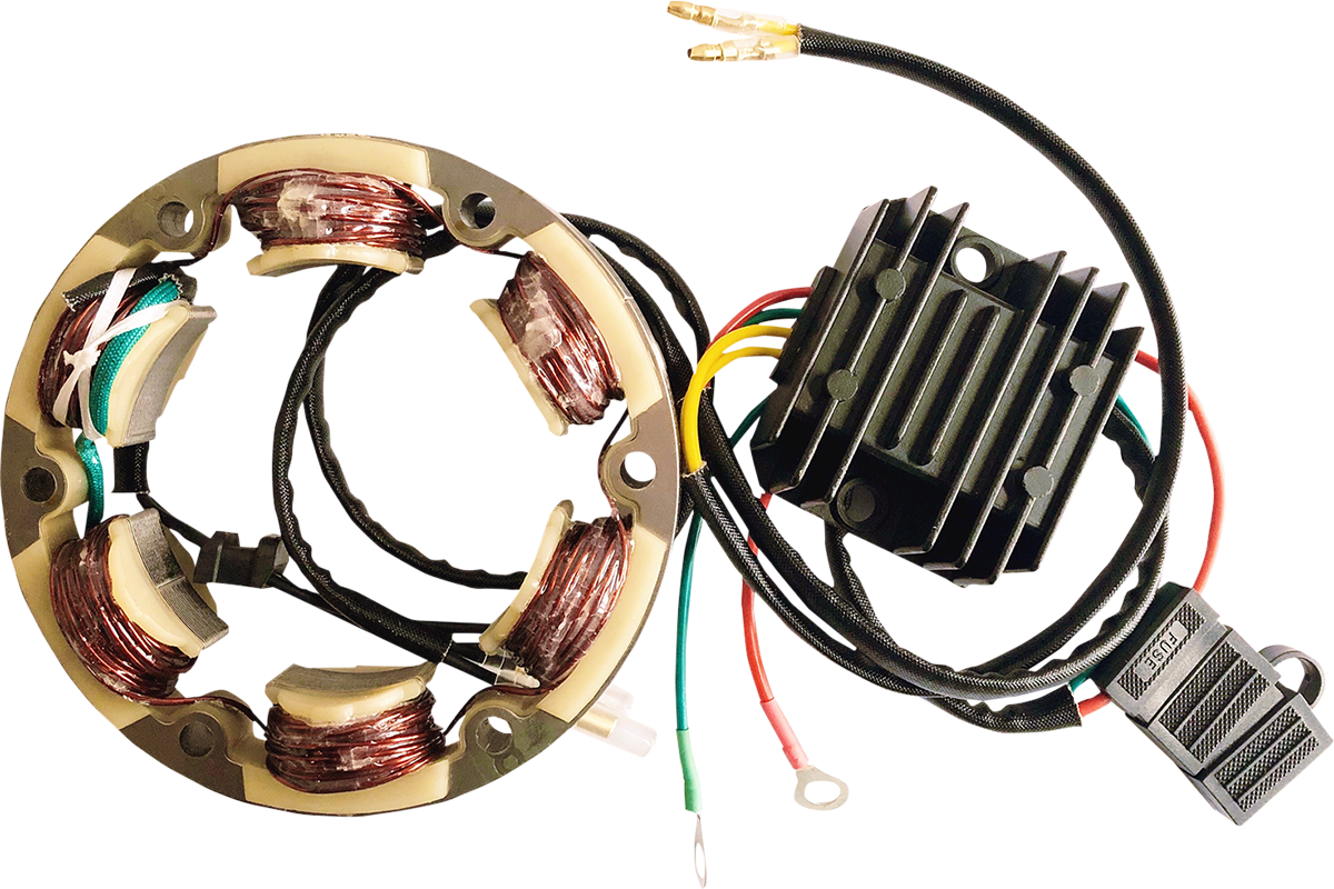 RICK'S MOTORSPORT ELECTRIC Lithium-Ion Charging Kit