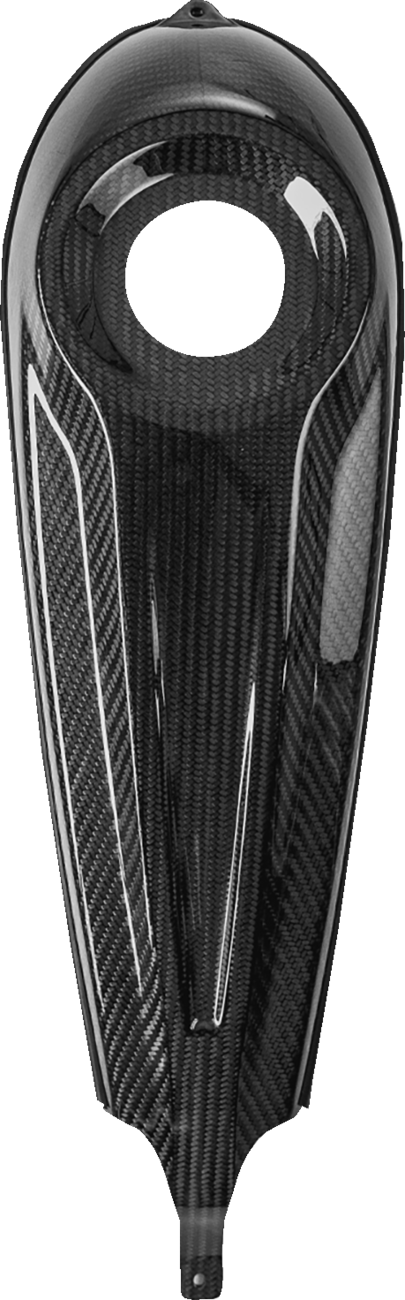 SADDLEMEN Carbon Fiber Dash Panel For Touring Models